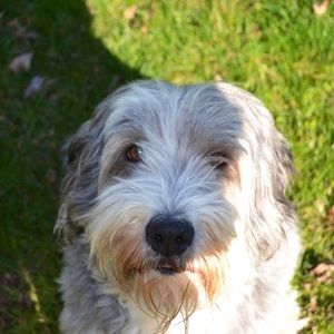 Meet your Posher, Maggie